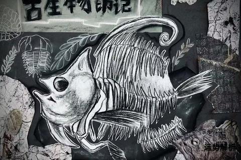 龟语漫谈：Turtle的生物密码与文化印记