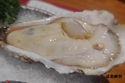 鲜蚝物语：舌尖邂逅海洋之珍
