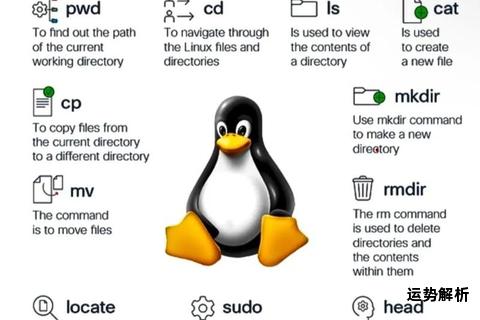 Linux系统关机命令全面解析与应用