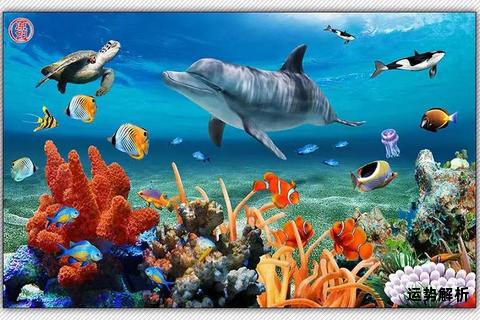 鱼跃四海通晓英文 水族世界畅游无阻
