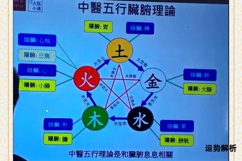 五行生克藏象论探析脏腑调和与人体平衡之道