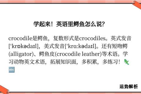 鳄鱼英语发音技巧与正确读法解析