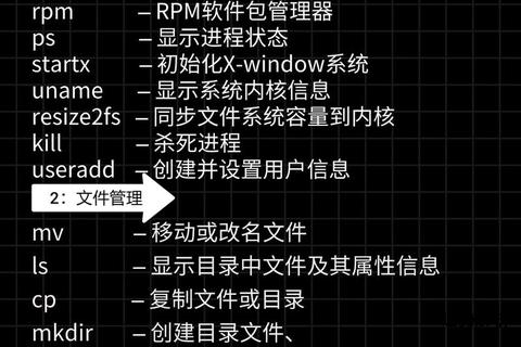 Linux基础命令全面学习指南