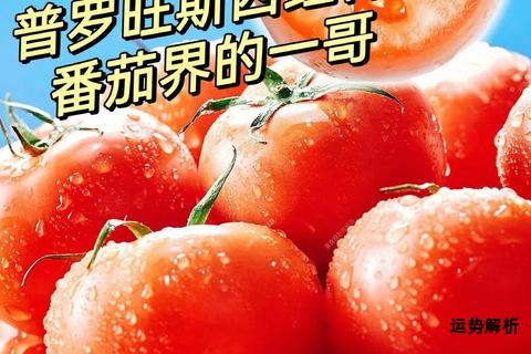 鲜红果实的异国名号西红柿英文溯源