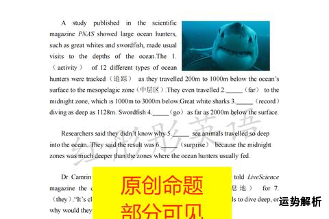 鲨鱼英语勇闯海洋征服听说读写