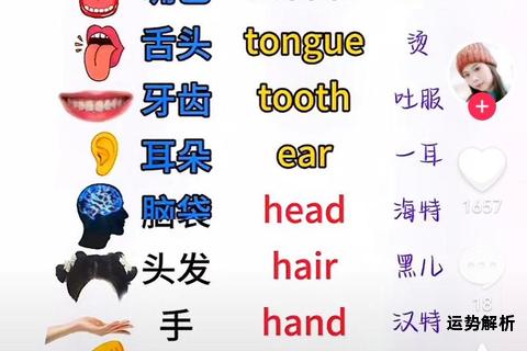 鼻子英文怎么说趣味记忆法轻松掌握