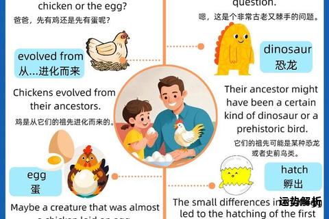 鸡的英文翻译趣味解析动物词汇轻松学