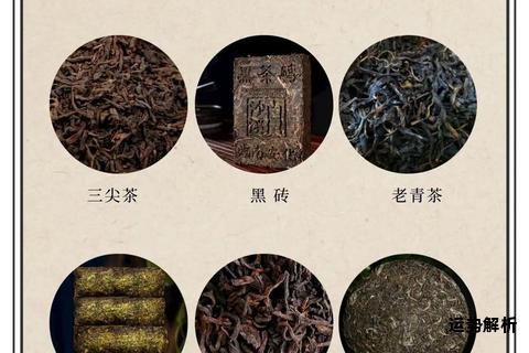黑茶Dark Tea探秘健康之源与工艺传承