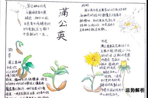 鲜花与英文的园丁日记：家庭种植双语实践手册