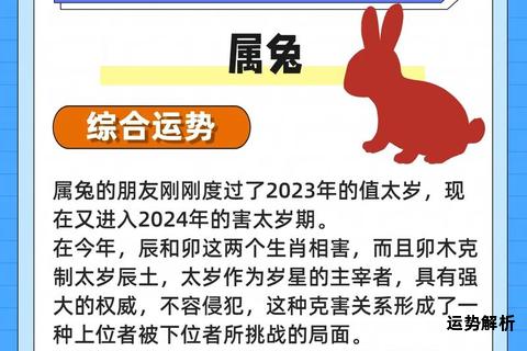 六三年出生之人属兔 生肖年份解析与运势探讨