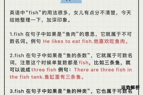 鱼的英语表达及发音要点全面解析