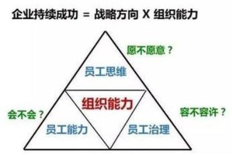 副队长高效管理攻略团队协作与资源分配进阶技巧解析
