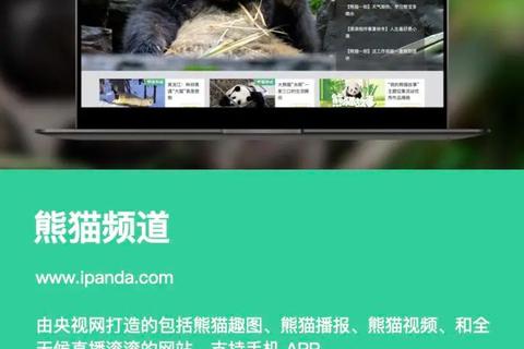 熊猫电视官方平台正版资源安全下载一键获取 第2张 熊猫电视官方平台正版资源安全下载一键获取 第2张