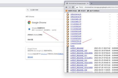 Chromedriver下载全攻略及注意事项 Chromedriver下载全攻略及注意事项