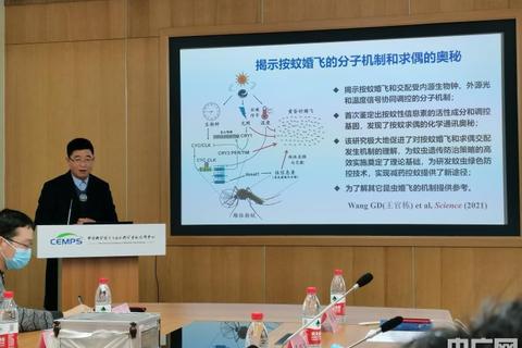 Synergy下载:高效获取的新途径与优势 Synergy下载:高效获取的新途径与优势