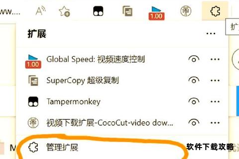 浏览器视频下载全攻略：高效技巧与工具推荐指南