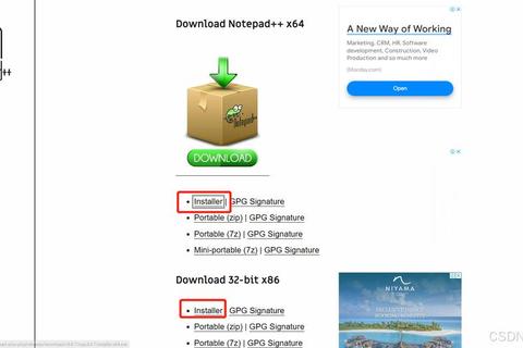 Notepad++下载安装教程：详细步骤与注意事项