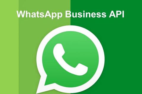 WhatsApp官方正版应用安全下载安装指南一步到位获取方法 WhatsApp官方正版应用安全下载安装指南一步到位获取方法