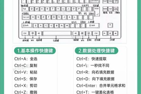 Excel下载安装全攻略 轻松获取办公利器