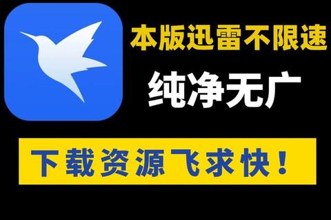 迅雷网盘下载:高效获取资源的新途径-第2张图片-画枫网络资讯 迅雷网盘下载:高效获取资源的新途径-第2张图片-画枫网络资讯