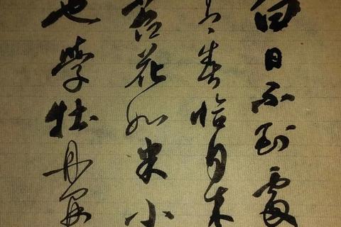 娄女：苔花如米小，也学牡丹开