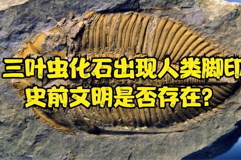引言：名字作为文明的微型化石 