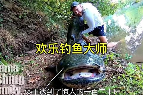 鲶鱼对决鲶鱼：同门激战引爆赛场